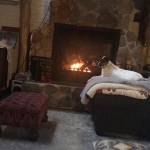 Meet your Posher, Tammy